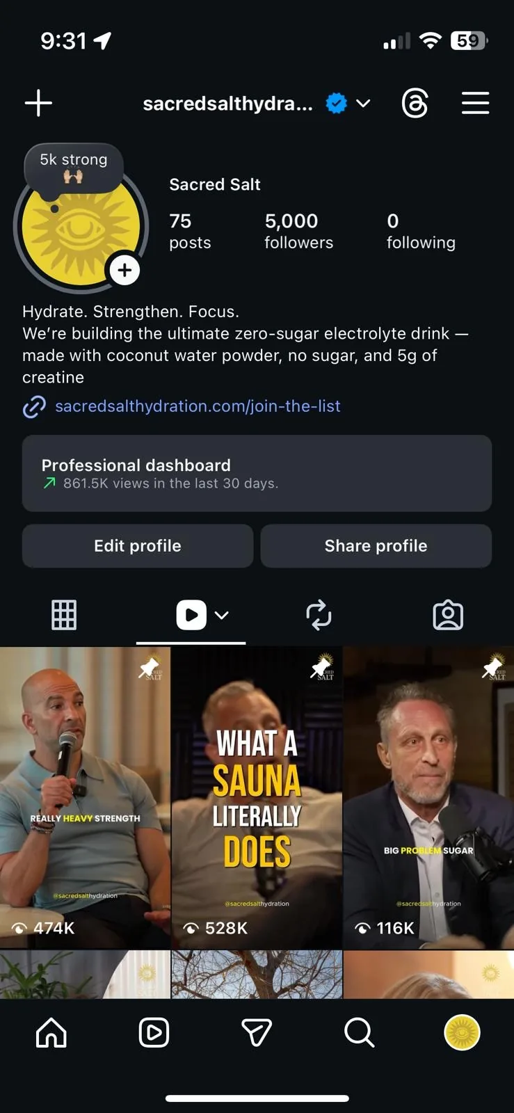 Sacred Salt Instagram analytics showing 5,000 followers and 861,500 views
